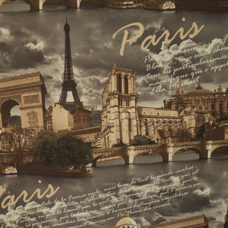 Коллекция Принт на велюре (Париж), цвет Париж серый