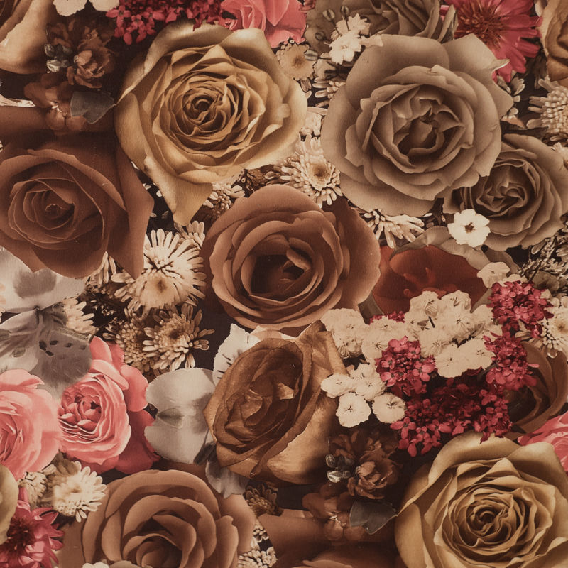 Коллекция Принт на велюре (цветы), цвет Розы2